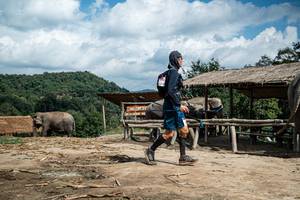 BIB: 
                            <button type="button" onclick="openModal(22423187)" class="btn btn-primary btn-sm float-right btn-popup" data-toggle="modal" data-target=".modal-high-quality">
                        <i class="fas fa-shopping-cart"></i> Add to Cart
                    </button>
                                            <button type="button" onclick="isThisMe(22423187, true)" class="btn btn-success btn-sm float-right btn-popup btn-isme hidden" data-toggle="tooltip" data-placement="bottom" title="นี่คือรูปของคุณใช่ไหม คลิกที่นี่เพื่อเอาเข้าอัลบั้ม">
                        <i class="fas fa-plus"></i> Add to album
                    </button>
                    <button type="button" onclick="isThisMe(22423187, false)" class="btn btn-warning btn-sm float-right btn-popup btn-isnotme hidden">
                        <i class="fas fa-ban"></i> Remove from album
                    </button>